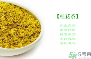 新鮮桂花怎么做茶？新鮮桂花怎么做桂花茶？