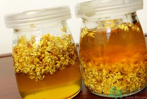 干桂花可以做桂花蜜嗎？干桂花怎么做桂花蜜？