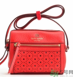 kate spade和coach哪個(gè)好？凱特絲蓓好還是蔻馳好？
