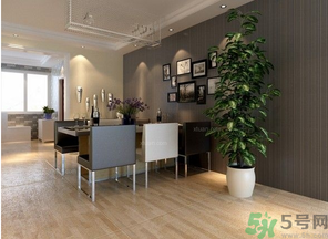 桂花樹(shù)可以種在室內(nèi)嗎？桂花樹(shù)適合在室內(nèi)嗎？