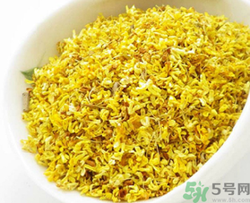 桂花茶可以天天喝嗎？桂花可以經(jīng)常喝嗎？