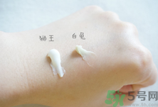 白兔祛痘膏和獅王哪個好？白兔牌暗瘡膏哪款好？