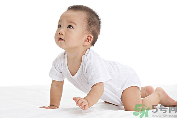 吃南瓜子可以打蟲(chóng)嗎,南瓜子能打蛔蟲(chóng)嗎？