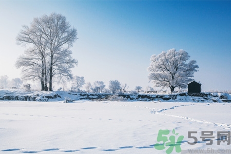 冬季養(yǎng)生吃什么最好？冬季養(yǎng)生吃三冬