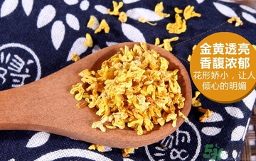 喝桂花茶會上火嗎？喝桂花茶上火怎么辦？