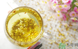 月經(jīng)期能喝桂花茶嗎？經(jīng)期能喝桂花茶嗎？