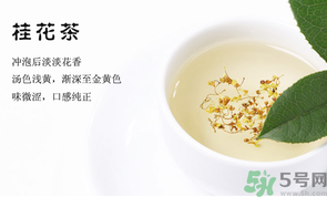 月經(jīng)期能喝桂花茶嗎？經(jīng)期能喝桂花茶嗎？