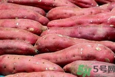 經(jīng)常吃紅薯好嗎？吃紅薯對(duì)身體有什么好處和壞處？