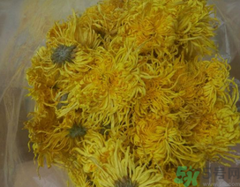 新鮮菊花怎么曬干？新鮮菊花怎么處理？