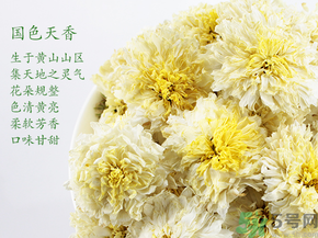 菊花茶可以放冰箱嗎？菊花茶能放冰箱冷凍嗎？