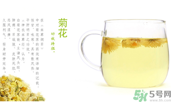 菊花茶可以放冰箱嗎？菊花茶能放冰箱冷凍嗎？
