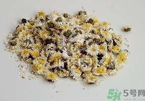 干菊花長蟲怎么辦？干菊花長蟲還能喝嗎？