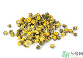 干菊花長蟲怎么辦？干菊花長蟲還能喝嗎？