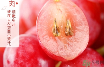 吃紅提要?jiǎng)兤幔考t提皮可以吃嗎？