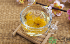 菊花茶可以天天喝嗎？菊花茶喝多了會怎么樣？
