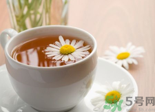 菊花茶可以天天喝嗎？菊花茶喝多了會怎么樣？