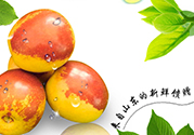 冬棗洗了可以放冰箱嗎？冬棗放冰箱好還是不放冰箱好？