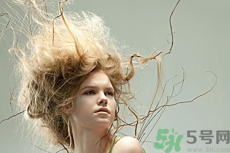 冬天用什么梳子比較好？頭發(fā)總愛(ài)靜電用什么梳子好？