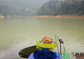 秋天釣魚用什么打窩？秋天釣鯉魚用什么打窩？