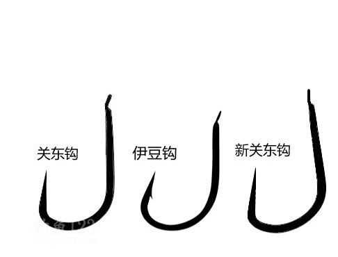 釣鯉魚用幾號鉤？釣鯉魚用什么鉤？
