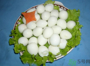 鴿子蛋怎么煮不會(huì)破裂？鴿子蛋怎么煮不會(huì)破？