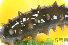 新鮮海參怎么吃最有營(yíng)養(yǎng)？新鮮海參生吃最有營(yíng)養(yǎng)嗎？