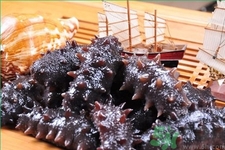新鮮海參怎么吃最好？新鮮海參生吃最好嗎？