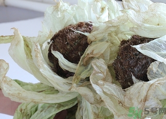 雪蓮花怎么吃？雪蓮花的功效作用