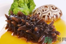 小孩能吃海參嗎？四種人不適合吃海參