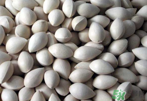 吃白果有什么好處和壞處？吃白果有什么作用？