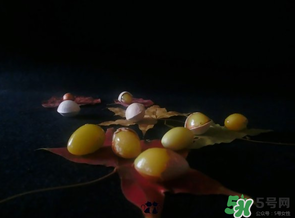 白果可以放微波爐嗎？白果放微波爐轉(zhuǎn)幾分鐘？