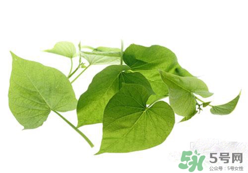 紅薯葉吃多了好嗎？紅薯葉吃多了會(huì)怎樣？