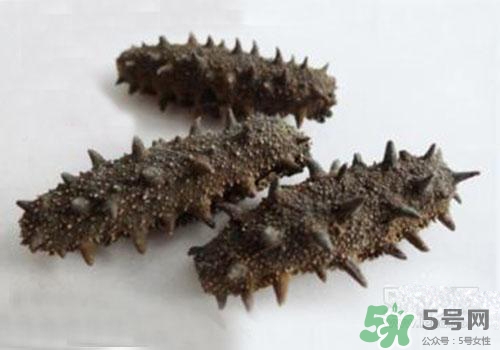 海參肚子里的筋能吃嗎？海參肚子里的筋吃了有什么作用？