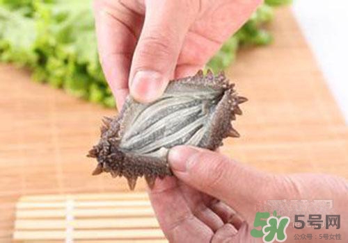 海參肚子里的筋能吃嗎？海參肚子里的筋吃了有什么作用？