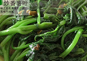 紅薯葉不能和什么一起吃？紅薯葉什么不能吃？