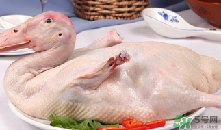 鴨肉可以放冰箱嗎？鴨肉放冰箱能保鮮多久？