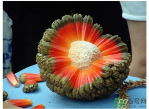 露兜果怎么吃？露兜果的功效作用