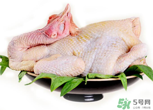 冷凍肉可以放多久？速凍肉可以放多久？