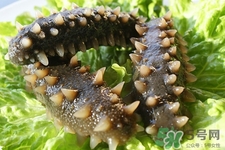 腎虛能吃海參嗎？吃海參對(duì)腎好嗎？