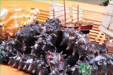 腎虛能吃海參嗎？吃海參對(duì)腎好嗎？