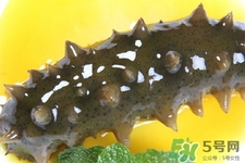 怎樣鑒別新鮮海參的好壞？干海參如何鑒別真假