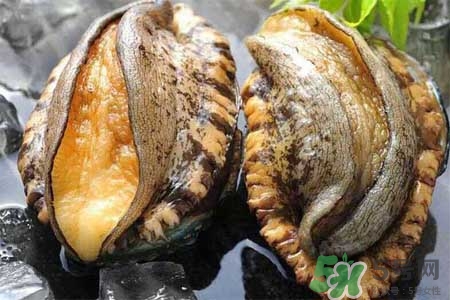 鮑魚能冷凍嗎？鮑魚可以放冰箱冷藏嗎？
