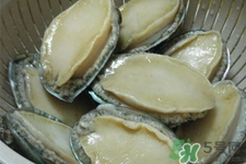 鮑魚死后可以放幾天？鮑魚死后多久不能吃？