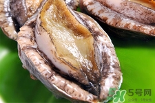 新鮮鮑魚可以放多久？活鮑魚怎樣存放時(shí)間更長？