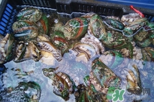 男人吃鮑魚能補腎嗎？腎虛能吃鮑魚嗎？