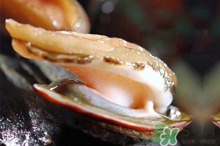 男人吃鮑魚能補腎嗎？腎虛能吃鮑魚嗎？