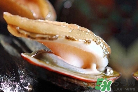 鮑魚一次最多吃幾個？鮑魚吃多了有什么不好的？