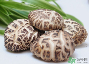 吃香菇有什么好處？吃香菇有什么壞處？
