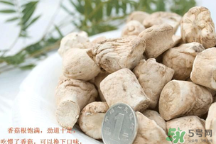 香菇根能吃嗎？香菇的根可以吃嗎？