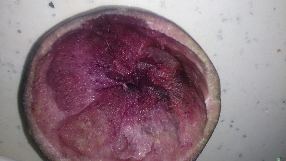 牛奶果怎么吃？牛奶果的功效與作用